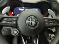 Alfa Romeo Tonale 1.5 HYBRID 160CV TC7 SPECIALE Blu/Azzurro - thumbnail 14