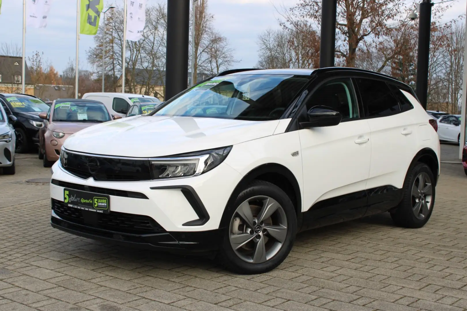Opel Grandland 1.6 Turbo Hybrid GS LINE LED+Kamera Weiß - 1