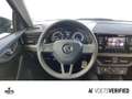 Skoda Kamiq Active 1.0 TSI SHZ+PDC H+KLIMA Grijs - thumbnail 11