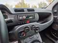 Fiat Panda Panda 1.0 FireFly S&S Hybrid City Life Grau - thumbnail 37