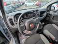 Fiat Panda Panda 1.0 FireFly S&S Hybrid City Life Grau - thumbnail 16