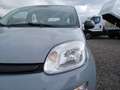 Fiat Panda Panda 1.0 FireFly S&S Hybrid City Life Grau - thumbnail 10