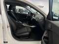 BMW 116 d Aut/Navi/LED/AG+/Tempomat Weiß - thumbnail 24