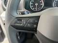 SEAT Ibiza 1,0 Reference Weiß - thumbnail 14
