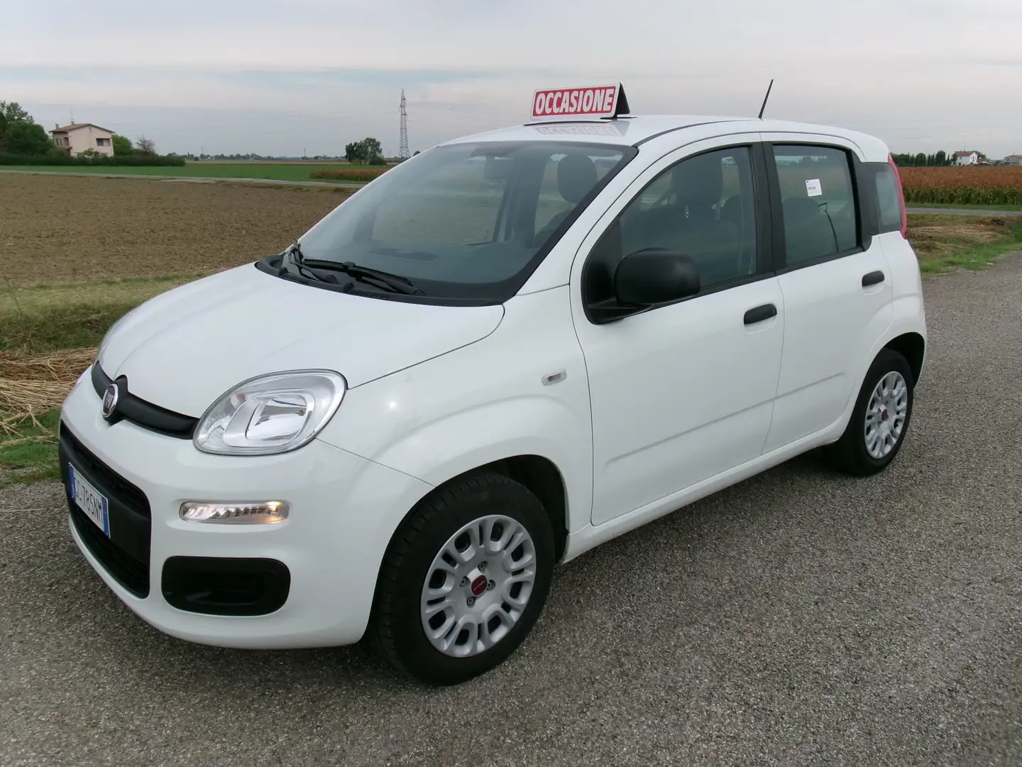 Fiat Panda Panda III 2016 1.2 Easy s Blanc - 1