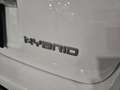 Fiat Panda CITYLIFE 1.0 FIREFLY 70CV HYBRID - ITALIANA Bianco - thumbnail 11