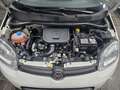 Fiat Panda CITYLIFE 1.0 FIREFLY 70CV HYBRID - ITALIANA Bianco - thumbnail 9