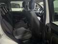 Fiat Panda CITYLIFE 1.0 FIREFLY 70CV HYBRID - ITALIANA Bianco - thumbnail 13