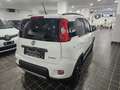 Fiat Panda CITYLIFE 1.0 FIREFLY 70CV HYBRID - ITALIANA Bianco - thumbnail 4