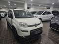 Fiat Panda CITYLIFE 1.0 FIREFLY 70CV HYBRID - ITALIANA Bianco - thumbnail 1