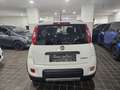 Fiat Panda CITYLIFE 1.0 FIREFLY 70CV HYBRID - ITALIANA Bianco - thumbnail 5