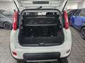 Fiat Panda CITYLIFE 1.0 FIREFLY 70CV HYBRID - ITALIANA Bianco - thumbnail 8