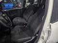 Fiat Panda CITYLIFE 1.0 FIREFLY 70CV HYBRID - ITALIANA Bianco - thumbnail 14