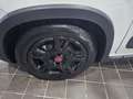 Fiat Panda CITYLIFE 1.0 FIREFLY 70CV HYBRID - ITALIANA Bianco - thumbnail 7