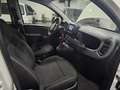Fiat Panda CITYLIFE 1.0 FIREFLY 70CV HYBRID - ITALIANA Bianco - thumbnail 15
