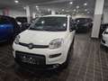Fiat Panda CITYLIFE 1.0 FIREFLY 70CV HYBRID - ITALIANA Bianco - thumbnail 3