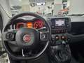 Fiat Panda CITYLIFE 1.0 FIREFLY 70CV HYBRID - ITALIANA Bianco - thumbnail 12