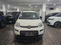 Fiat Panda CITYLIFE 1.0 FIREFLY 70CV HYBRID - ITALIANA Bianco - thumbnail 2