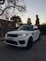 Land Rover Range Rover Sport 3,0 SDV6 HSE Dynamic Aut. - thumbnail 2