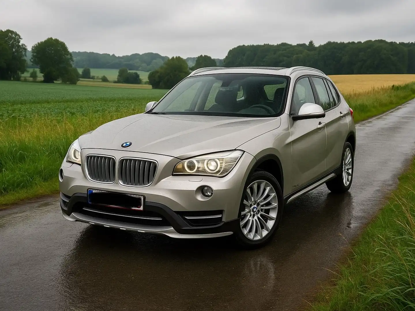 BMW X1 X1 2.0 dA sDrive20 Beige - 1