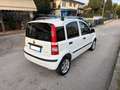 Fiat Panda 1.3 MJT 16V DPF Dynamic NEOPATENTATI Bianco - thumbnail 4