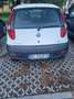 Fiat Punto Punto II 2003 3p 1.2 Active - thumbnail 2