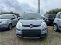 Fiat Panda 1.0 FireFly S&S Hybrid Grigio - thumbnail 2