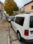 Volkswagen Caddy Caddy Furgón 2.0TDI 75kW Blanco - thumbnail 3