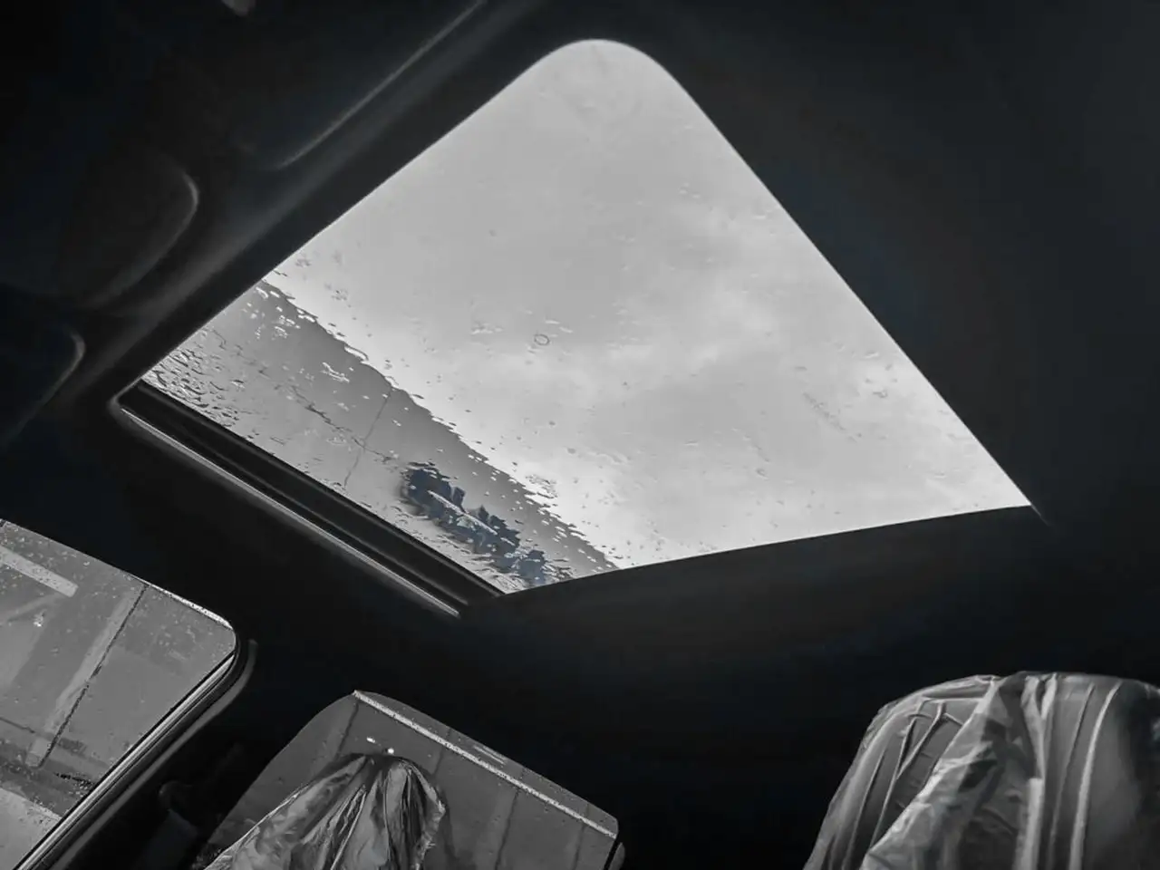 Subaru Forester fotografie Subaru Forester