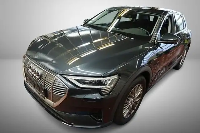 Audi e-tron 50 quattro 50 Basis Kamera/ACC/AHK/KeyLess/LED/Luf
