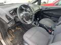 Ford B-Max B-MAX Titanium Grau - thumbnail 11