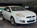 Fiat Bravo 1.6 mjt  105cv DISTRIBUZIONE FATTA !! Bianco - thumbnail 2