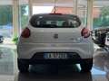 Fiat Bravo 1.6 mjt  105cv DISTRIBUZIONE FATTA !! Bianco - thumbnail 6