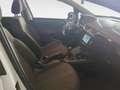 Opel Corsa 5 Porte 1.3 CDTI - thumbnail 15