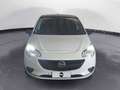 Opel Corsa 5 Porte 1.3 CDTI - thumbnail 8