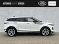 Land Rover Range Rover Evoque D165 AWD R-Dynamic SE ACC Blanc - thumbnail 6