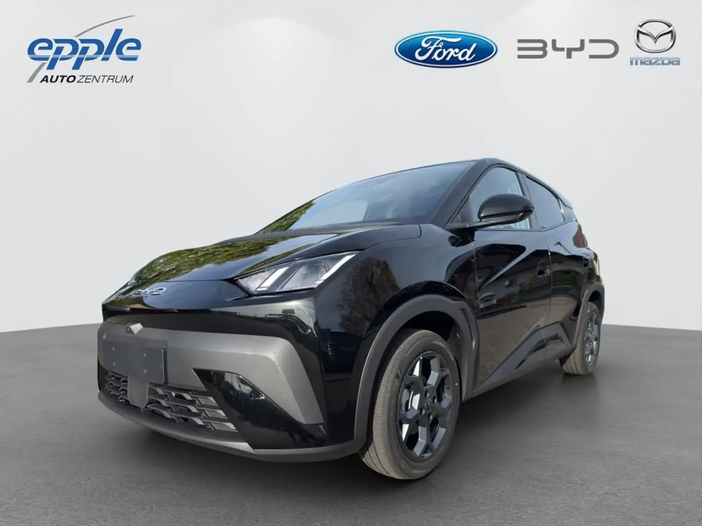 BYD Dolphin Surf DOLPHIN SURF Comfort Чорний - 1