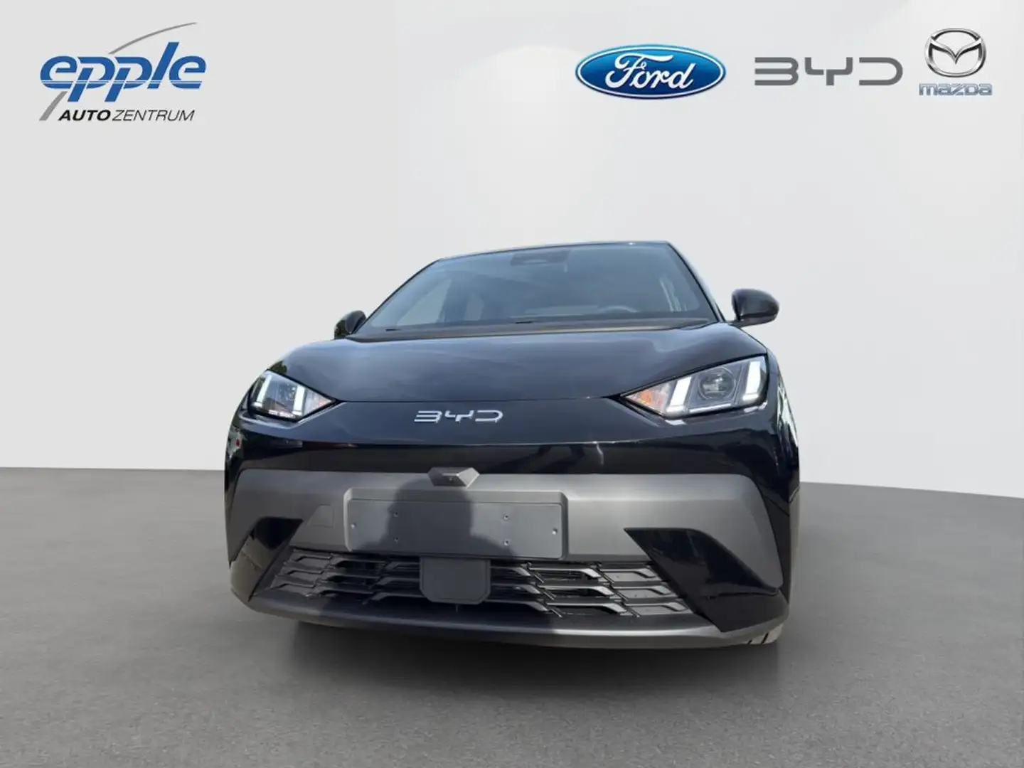 BYD Dolphin Surf DOLPHIN SURF Comfort Чорний - 2