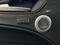Alfa Romeo Stelvio 2.9 Bi-Turbo Q4 Quadrifoglio AT8 Azul - thumbnail 18