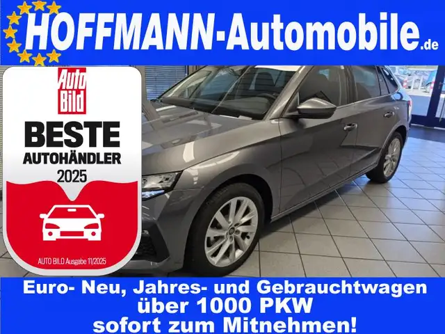 Skoda Scala Tour AHK,Climatr.,Kamera,Sitzhzg.,Metallic