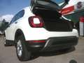 Fiat 500X 1.0 T3 120 CV City Cross Bianco - thumbnail 14