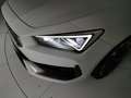 CUPRA Leon Sportstourer 1.5 hybrid 150cv DSG Bianco - thumbnail 6
