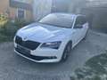 Skoda Superb Kombi 2,0 TDI Sportline DSG - thumbnail 4