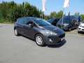 Ford Fiesta 1.0 Trend ~AppLink~PDC~SHZ~Winter Paket~ Grau - thumbnail 7