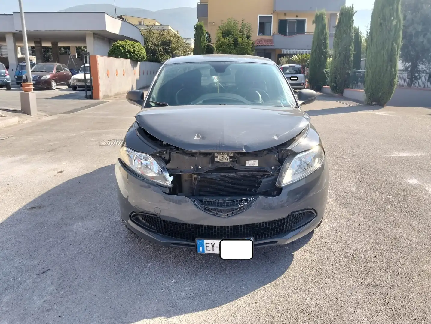 Lancia Ypsilon Ypsilon 1.2 8v Elefantino 69cv SINISTRATA Grigio - 2