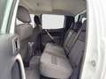 Ford Ranger Doppelkabine XLT 4x4 2,0 EcoBlue Aut. Hardtop/AHK Weiß - thumbnail 12
