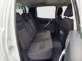 Ford Ranger Doppelkabine XLT 4x4 2,0 EcoBlue Aut. Hardtop/AHK Weiß - thumbnail 17