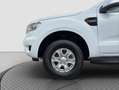 Ford Ranger Doppelkabine XLT 4x4 2,0 EcoBlue Aut. Hardtop/AHK Weiß - thumbnail 19