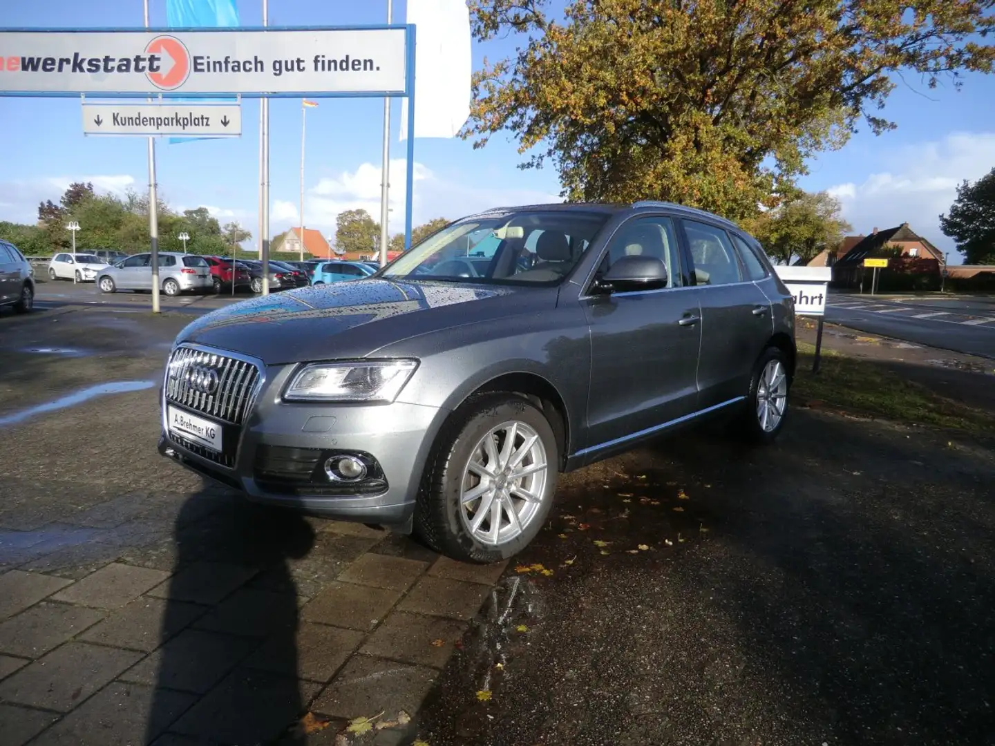 Audi Q5 2.0 TDI clean diesel quattro basis AHK XENON PLUS Grau - 2