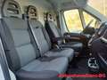 Fiat Ducato 30 2.2 Mjt 120CV PC-TN Furgone Blanco - thumbnail 13